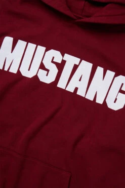One Of These Days Mustang Hoodie 'Washed Burgundy' -Rooted Store BUY 01C 04 027 ROOTED NASHVILLE 3