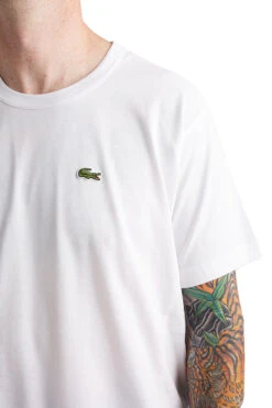 Comme Des Garcons SHIRT Mens Lacoste Badge Tee 'White' -Rooted Store BUY FL T014 051 3 ROOTED NASHVILLE 4
